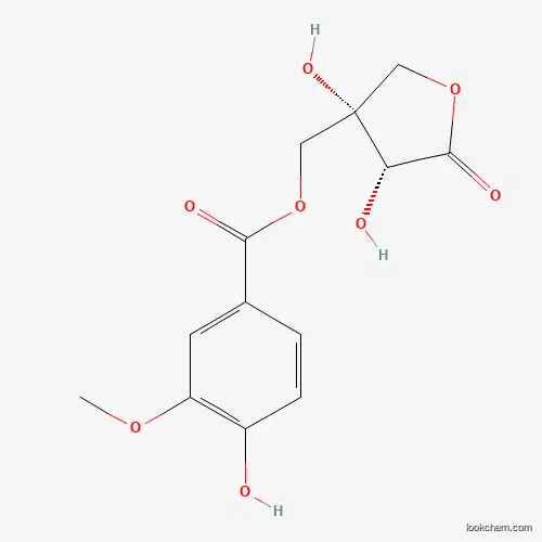 Phellolactone manufacturer