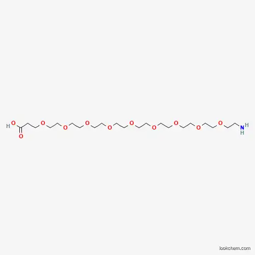 Molecular Structure of 1191079-83-0 (Amino-PEG9-acid)
