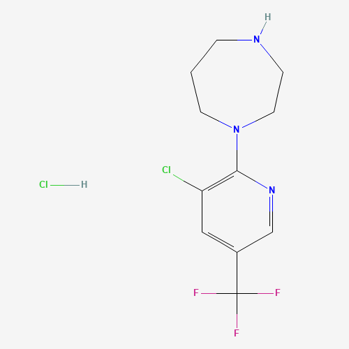 1-[3-CHLORO-5-(TRIFLUOROMETHYL)PYRIDIN-2-YL]HOMOPIPERAZINE HYDROCHLORIDE