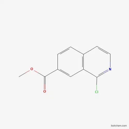 Methyl 1-chloroisoquinoline-7-carboxylate