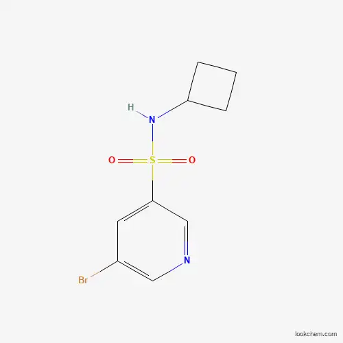 5-broMo-N-cyclobutylpyridine-3-sulfonaMide manufacture