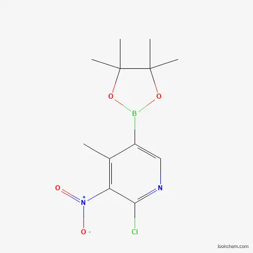 2-chloro-4-methyl-3-nitro-5-(4,4,5,5-tetramethyl-1,3,2-dioxaborolan-2-yl)pyridine