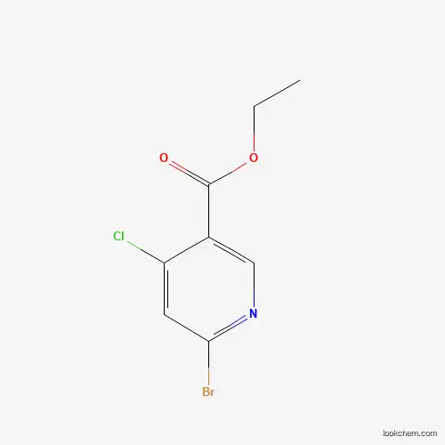 ethyl 6-broMo-4-chloronicotinate