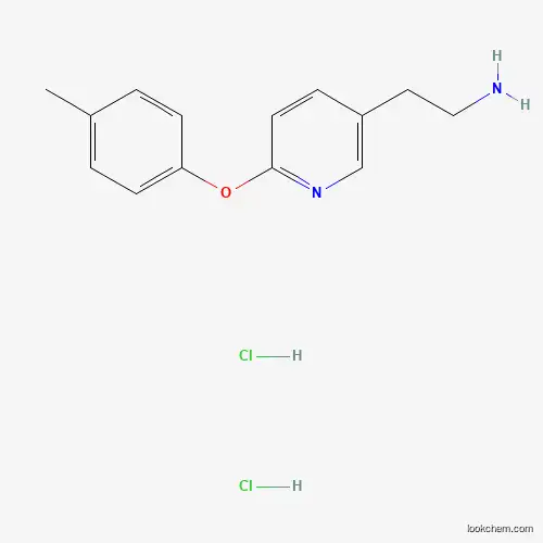 Molecular Structure of 1337880-30-4 (2-(6-(p-tolyloxy)pyridin-3-yl)ethanaMine dihydrochloride)