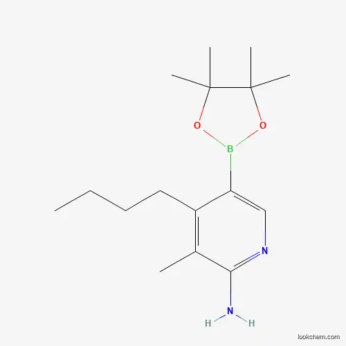 Molecular Structure of 1353718-21-4 (n-Butyl-3-methyl-5-(4,4,5,5-tetramethyl-[1,3,2]dioxaborolan-2-yl)pyridin-2-amine)