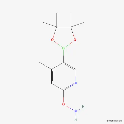 Molecular Structure of 1353718-44-1 (o-(4-Methyl-5-(4,4,5,5-tetramethyl-1,3,2-dioxaborolan-2-yl)pyridin-2-yl)hydroxylamine)