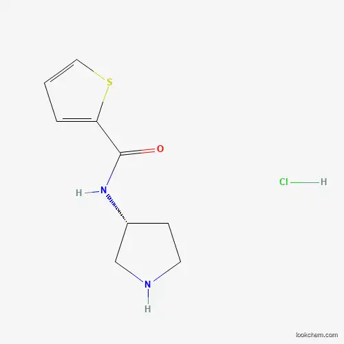 (R)-N-(Pyrrolidin-3-yl)thiophene-2-carboxamide hydrochloride