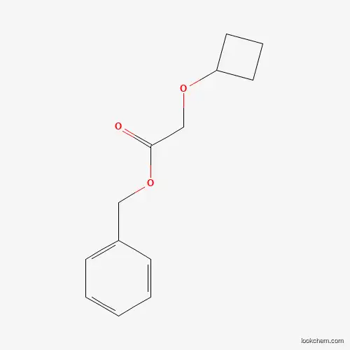 Molecular Structure of 1364663-26-2 (Benzyl 2-cyclobutoxyacetate)