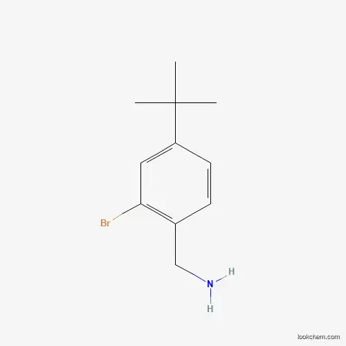 Molecular Structure of 1369874-19-0 ((2-Bromo-4-tert-butylphenyl)methylamine)