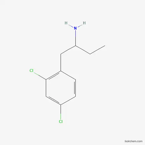 1-(2,4-dichlorophenyl)butan-2-aMine