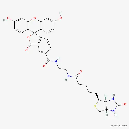 BIOTIN-4-FLUORESCEIN