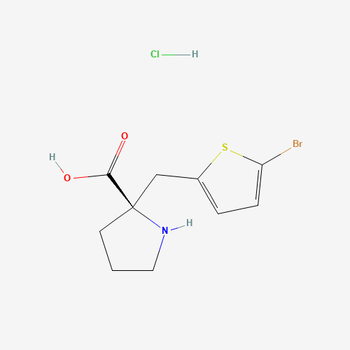 (R)-α-(5-Bromo-2-thienylmethyl)-proline hydrochloride