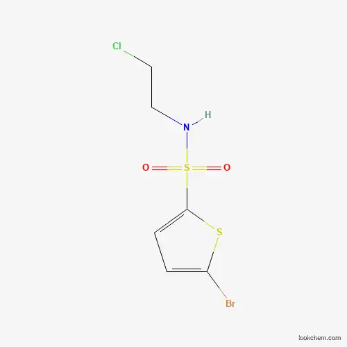 Molecular Structure of 1082843-83-1 (5-bromo-N-(2-chloroethyl)thiophene-2-sulfonamide)
