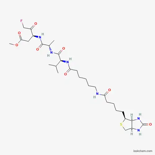 CASPASE INHIBITOR I, BIOTIN CONJUGATE