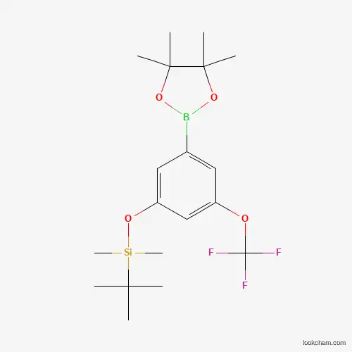 tert-Butyldimethyl(3-(4,4,5,5-tetramethyl-1,3,2-dioxaborolan-2-yl)-5-(trifluoromethoxy)phenoxy)silane