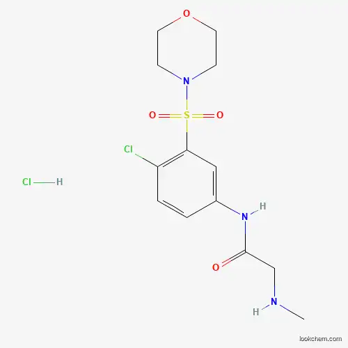 Molecular Structure of 1173052-99-7 (N-[4-chloro-3-(morpholin-4-ylsulfonyl)phenyl]-2-(methylamino)acetamide hydrochloride)