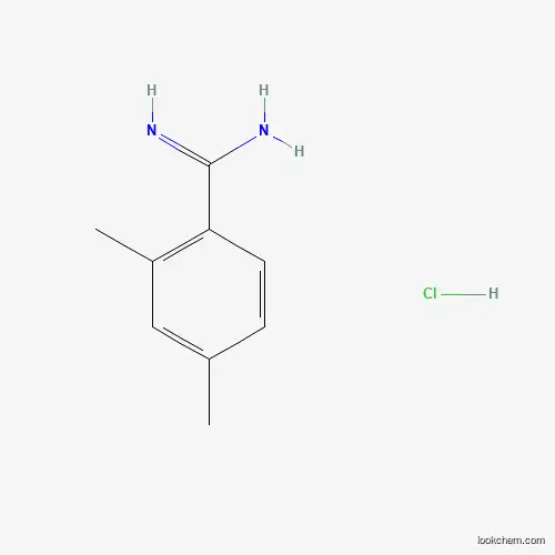 Molecular Structure of 1187927-39-4 (2,4-Dimethyl-benzamidine hydrochloride)