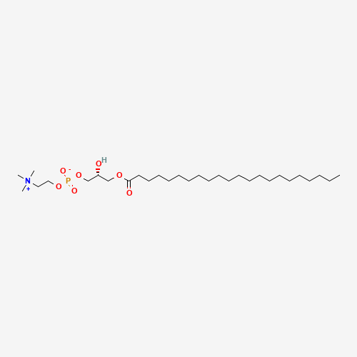 1-BEHENOYL-2-HYDROXY-SN-GLYCERO-3-PHOSPHOCHOLINE