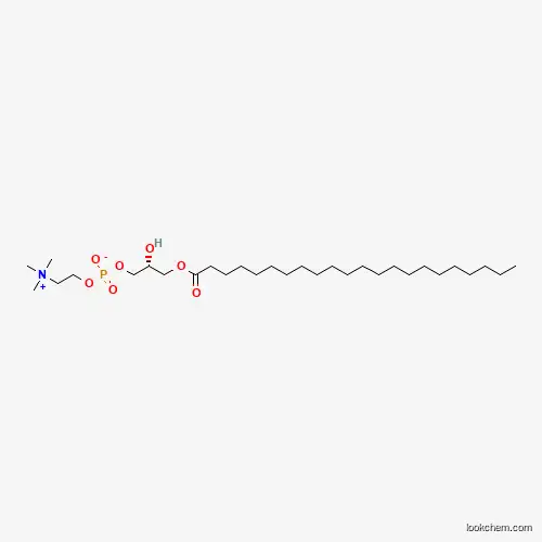 Molecular Structure of 125146-65-8 (1-Behenoyl-2-hydroxy-sn-glycero-3-phosphocholine)