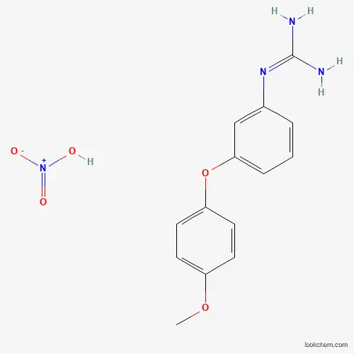 Molecular Structure of 1359655-97-2 (1-(3-(4-Methoxyphenoxy)phenyl)guanidine nitrate)