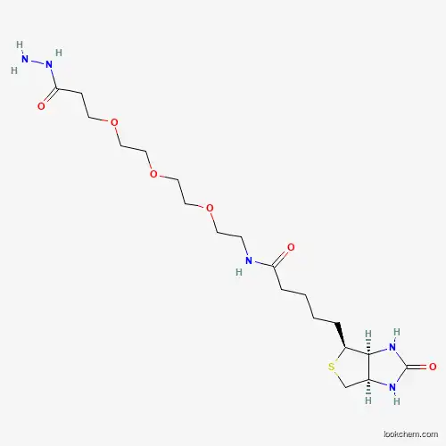 (+)-Biotin-PEG3-hydrazide