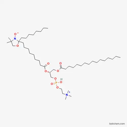 1-PALMITOYL-2-STEAROYL-(10-DOXYL)-SN-GLYCERO-3-PHOSPHOCHOLINE