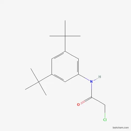 Molecular Structure of 287198-03-2 (2-chloro-N-(3,5-di-tert-butylphenyl)acetamide)
