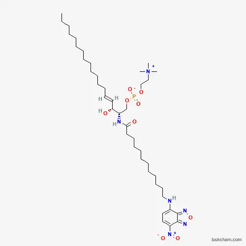 C12 NBD-SPHINGOMYELIN