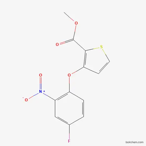 Molecular Structure of 303152-16-1 (Methyl 3-(4-fluoro-2-nitrophenoxy)thiophene-2-carboxylate)