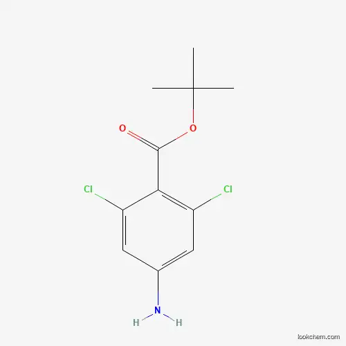 4-AMino-2,6-dichloro-benzoic acid tert-butyl ester