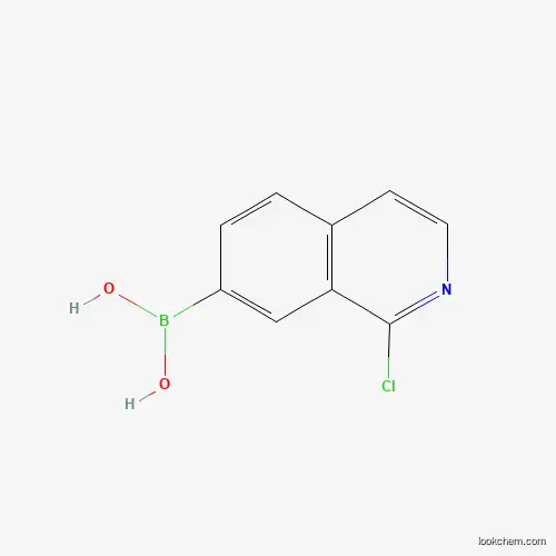 (1-chloroisoquinolin-7-yl)boronic Acid