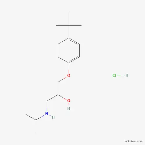 Molecular Structure of 467236-81-3 (1-(4-tert-Butylphenoxy)-3-(isopropylamino)propan-2-ol hydrochloride)