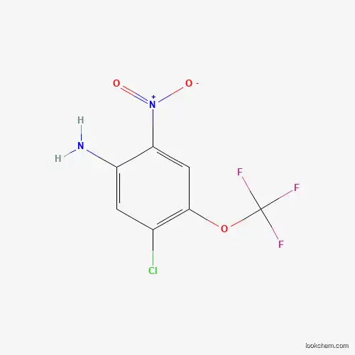 5-CHLORO-2-NITRO-4-TRIFLUOROMETHOXY-PHENYLAMINE