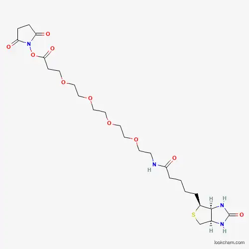 Molecular Structure of 459426-22-3 (Biotin-PEG4-NHS ester)
