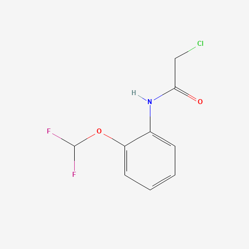 2-CHLORO-N-(2-DIFLUOROMETHOXY-PHENYL)-ACETAMIDE