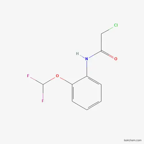 Molecular Structure of 568567-38-4 (2-Chloro-N-(2-difluoromethoxy-phenyl)-acetamide)