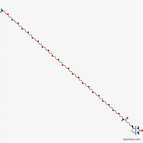 (+)-Biotin-PEG11-amine