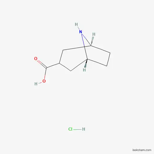 exo-8-azabicyclo[3.2.1]octane-3-carboxylic acid hydrochloride