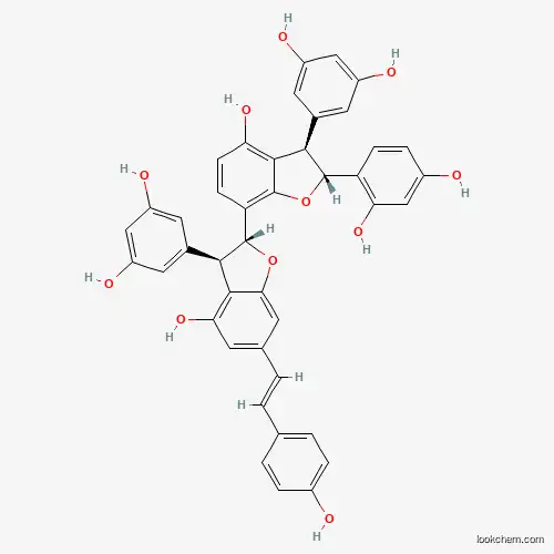 Gnetumontanin B manufacturer