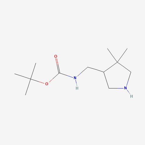 TERT-BUTYL N-[(4,4-DIMETHYLPYRROLIDIN-3-YL)METHYL]CARBAMATE