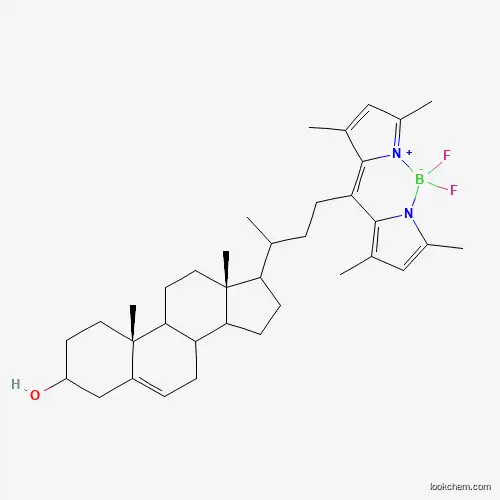 23-(dipyrroMetheneboron difluoride)-24-norcholesterol