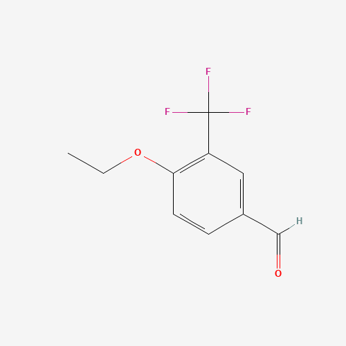 4-ETHOXY-3-(TRIFLUOROMETHYL)BENZALDEHYDE