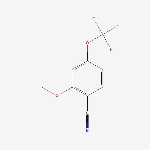 2-METHOXY-4-(TRIFLUOROMETHOXY)BENZONITRILE cas no. 886500-25-0 98%