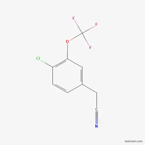 4-Chloro-3-(trifluoromethoxy)phenylacetonitrile cas no. 886500-97-6 98%