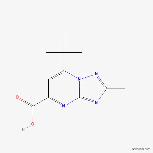 7-tert-Butyl-2-methyl-[1,2,4]triazolo[1,5-a]-pyrimidine-5-carboxylic acid
