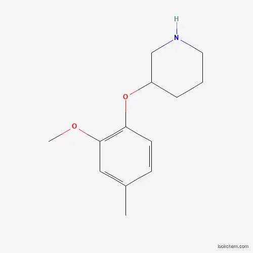 2-METHOXY-4-METHYLPHENYL 3-PIPERIDINYL ETHER