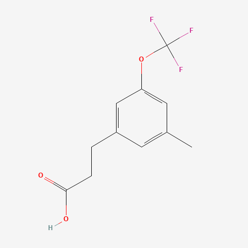 3-[3-METHYL-5-(TRIFLUOROMETHOXY)PHENYL]PROPIONIC ACID