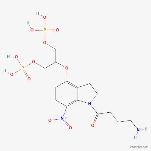 Molecular Structure of 927866-58-8 (DPNI-caged-GABA)