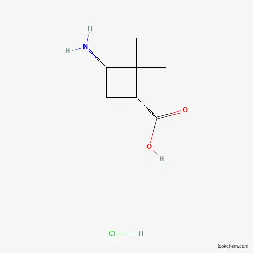Molecular Structure of 92812-22-1 (cis-3-Amino-2,2-dimethylcyclobutanecarboxylic acid hydrochloride)