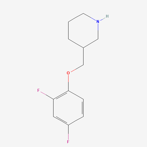 3-[(2,4-DIFLUOROPHENOXY)METHYL]PIPERIDINE